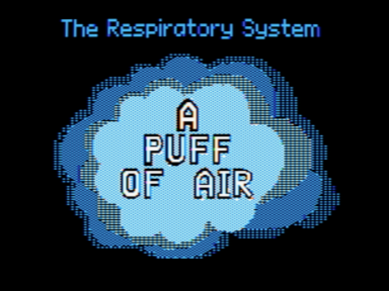 A Puff of Air: The Respiratory System screenshot 1 of 4