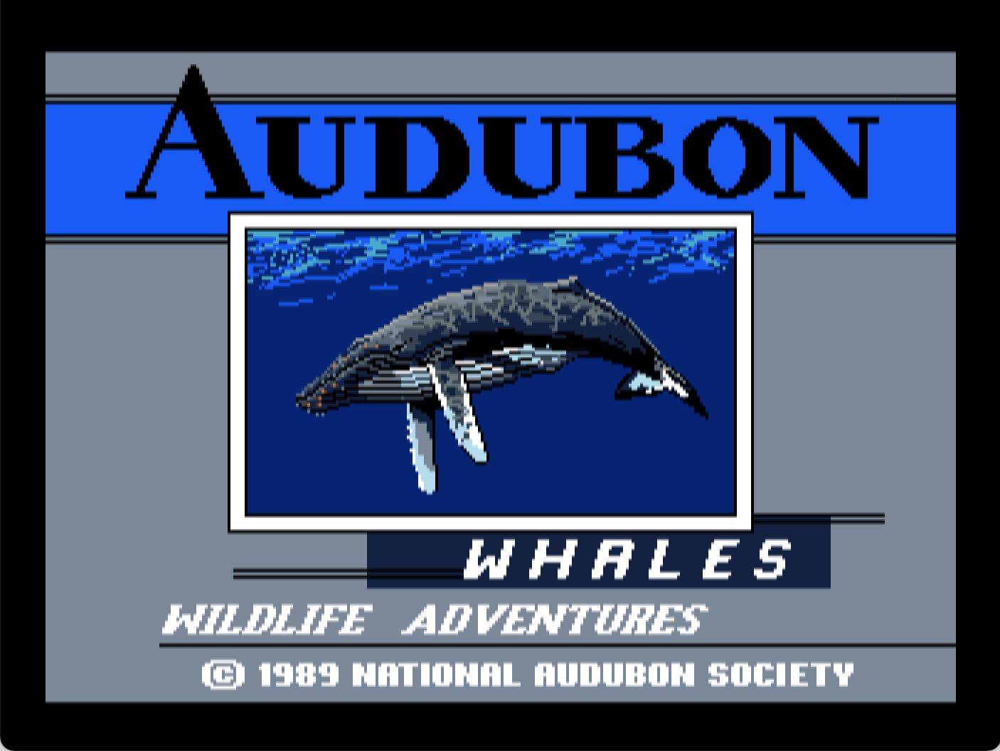 Audubon Wildlife Adventures: Whales screenshot 1 of 11