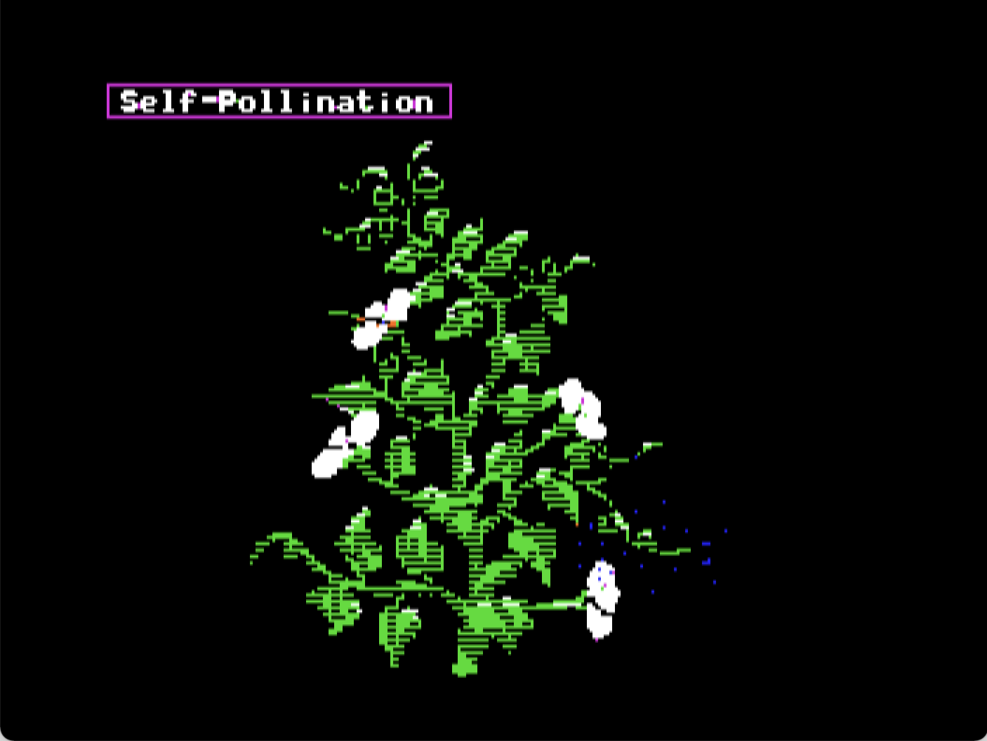 The Plant Growth Simulator: Elementary Version screenshot 4 of 4