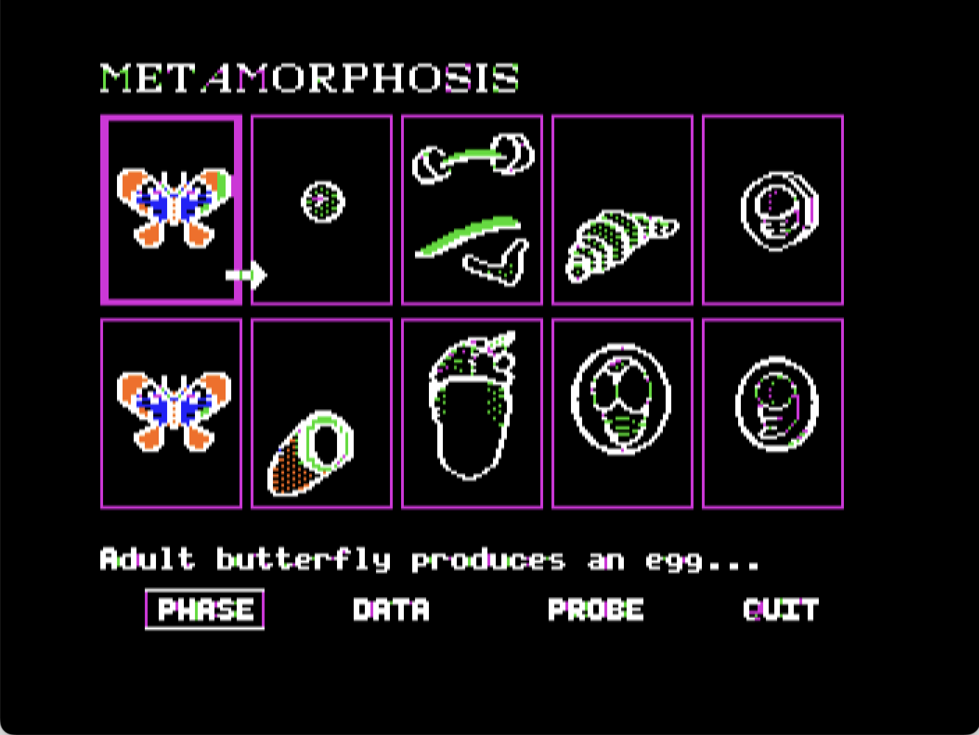 The Insect World screenshot 4 of 4