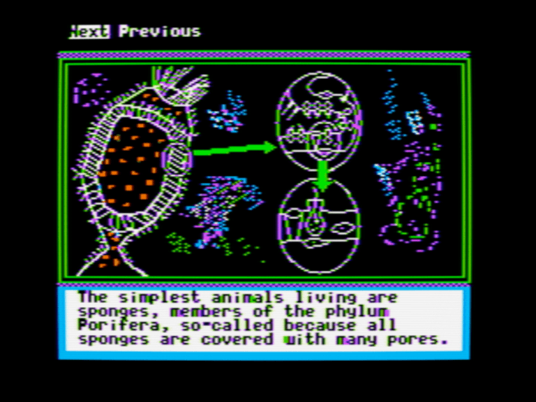 Marine Life: Invertebrate Anatomy screenshot 2 of 3