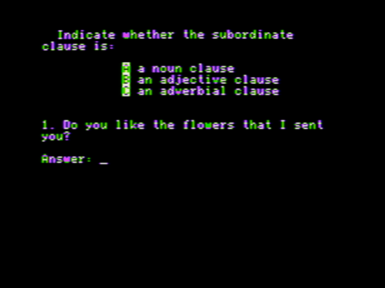 Noun Clauses screenshot 3 of 3