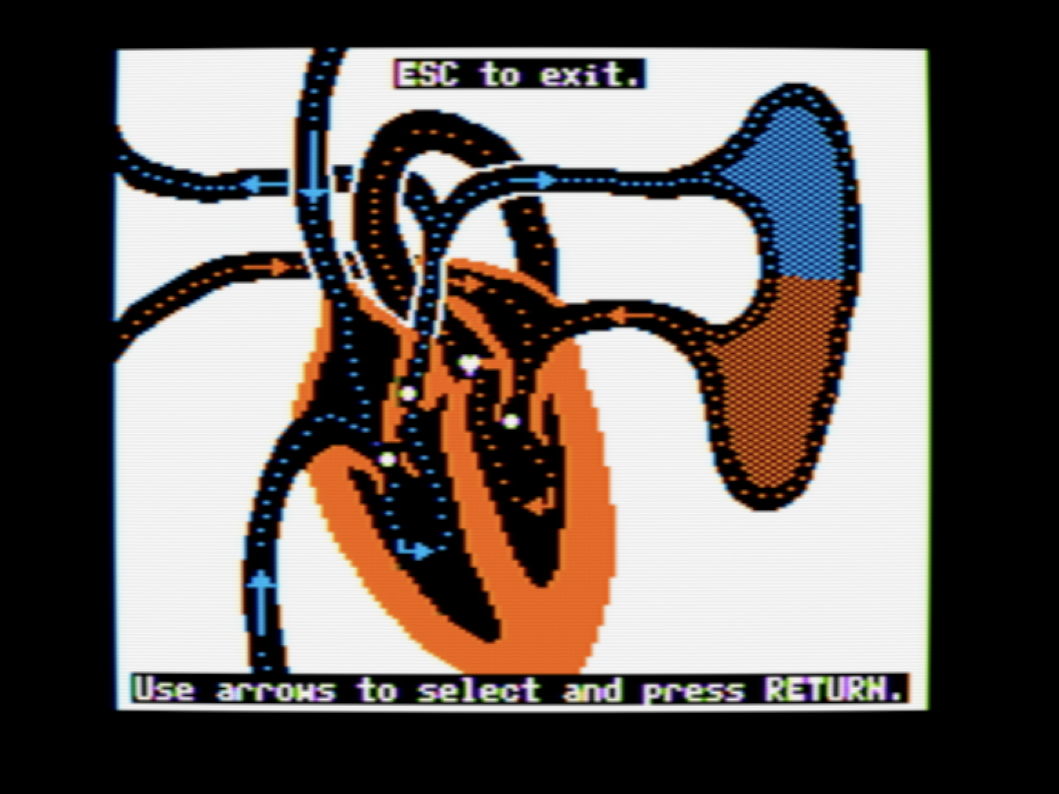 The Human Pump screenshot 4 of 4