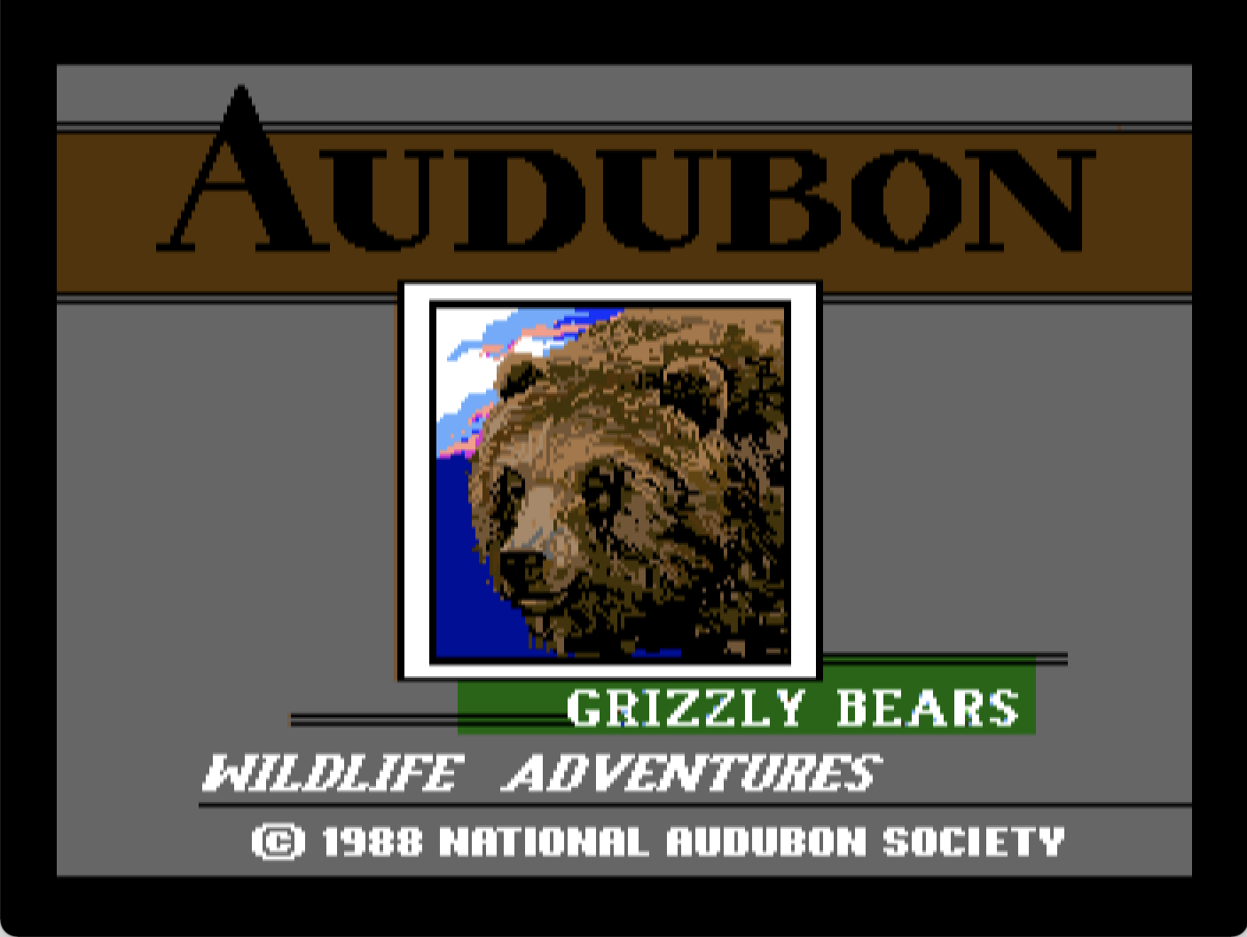 Audubon Wildlife Adventures: Grizzly Bears screenshot 1 of 10