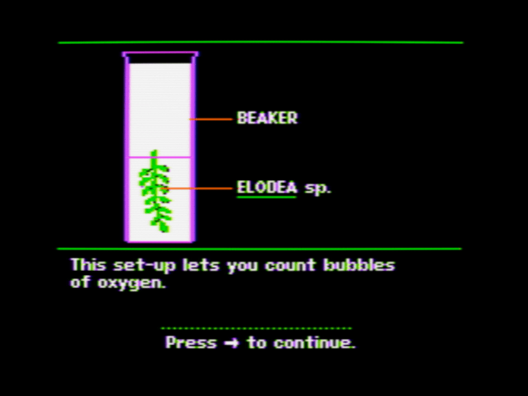 Modern Biology: Photosynthesis screenshot 4 of 4