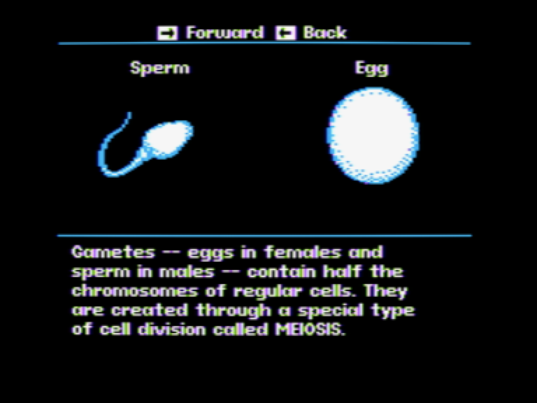 Modern Biology: Genetics screenshot 3 of 3