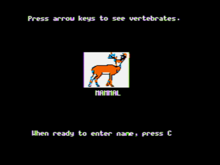 Classifying Animals with Backbones screenshot 3 of 5