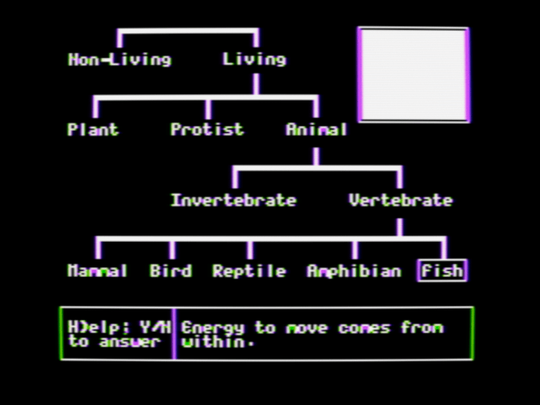 Classifying Animals with Backbones screenshot 5 of 5